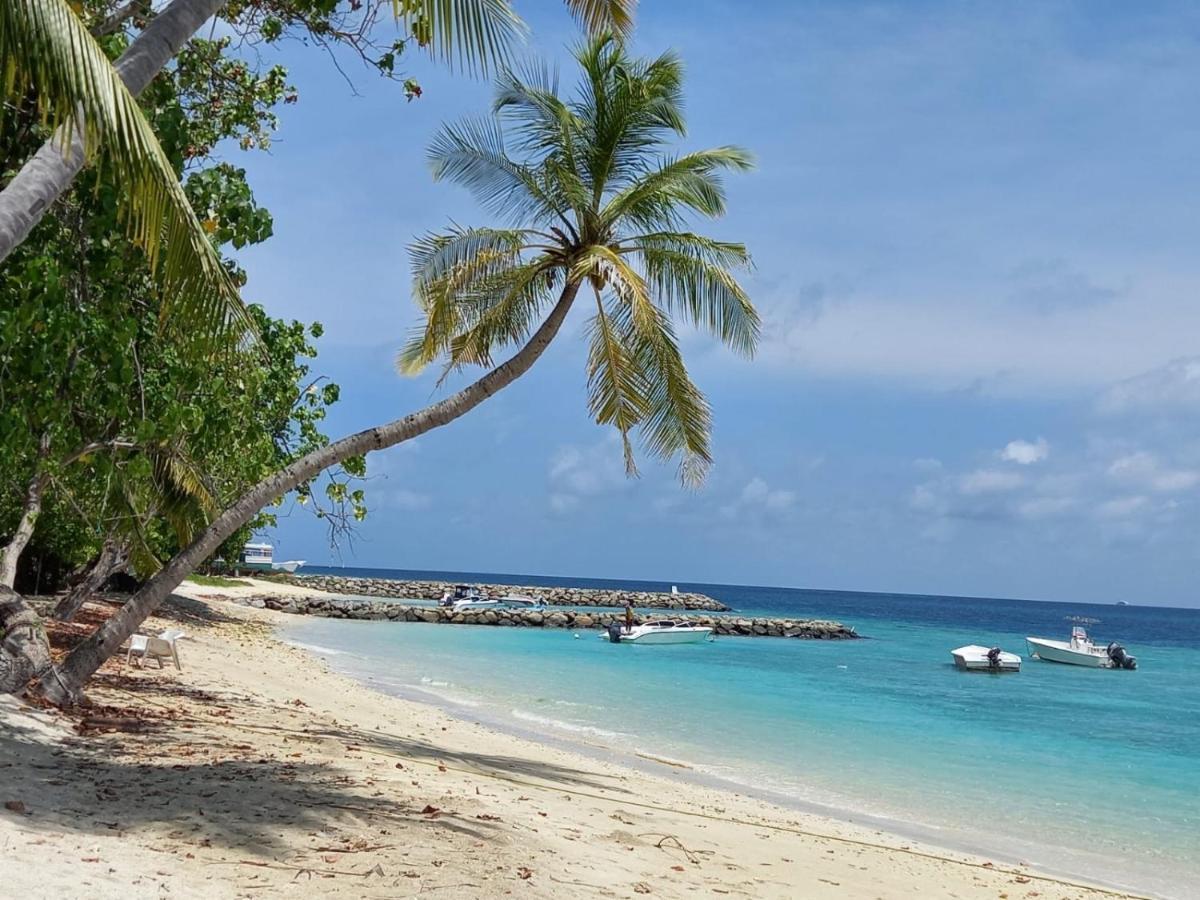 Fins Dive And Leisure Hotel Rasdhoo Exterior photo